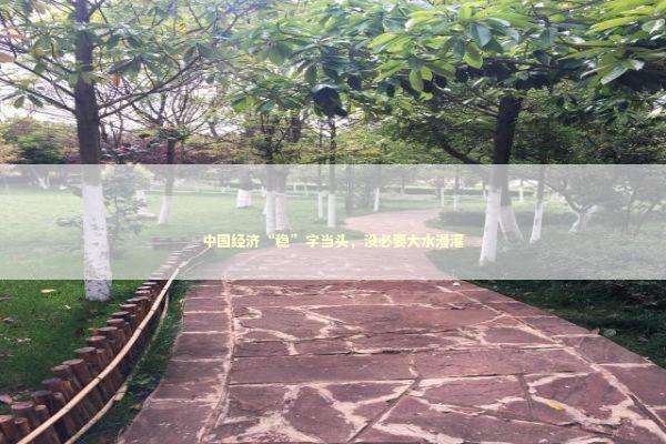 中国经济“稳”字当头，没必要大水漫灌 新闻