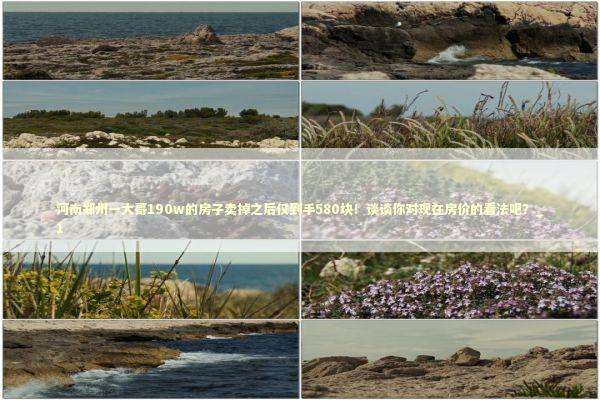 河南郑州一大哥190w的房子卖掉之后仅到手580块！谈谈你对现在房价的看法吧？_1 新闻