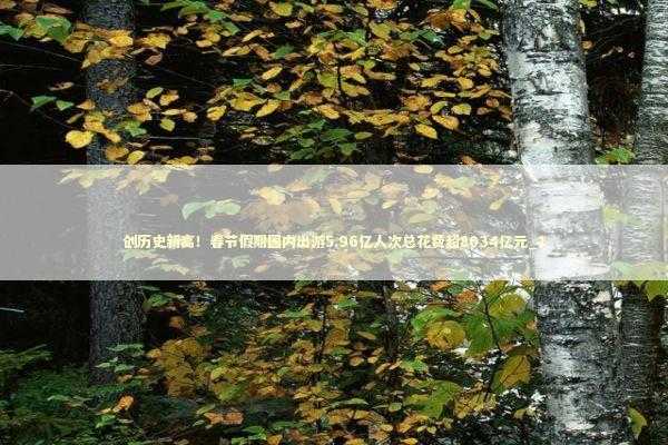 创历史新高！春节假期国内出游5.96亿人次总花费超8034亿元_1 新闻