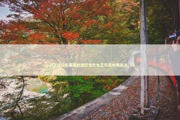 认识下这位私募圈的流行文化女王引发市场关注_16 新闻