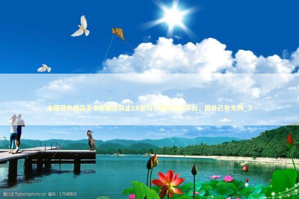 全国政协委员于本宏建议禁止16岁以下使用社交平台，国外已有先例_3 新闻