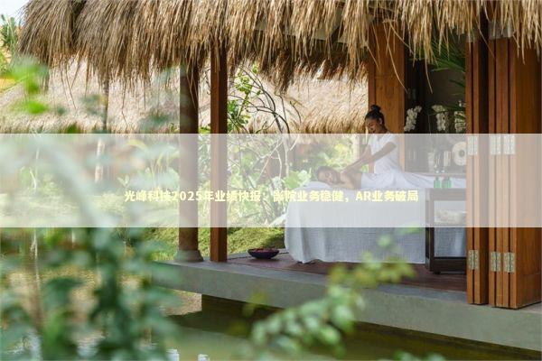 光峰科技2025年业绩快报：影院业务稳健，AR业务破局 新闻