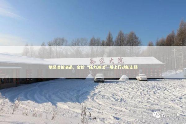 地缘溢价渐退，金价“压力测试”后上行动能走弱 新闻