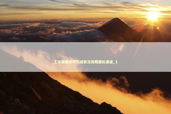 工信部部长李乐成首次亮相部长通道_1 新闻