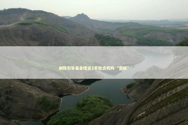 创投引导基金增资3家险资机构“尝鲜” 新闻