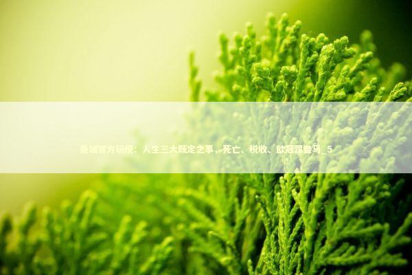 曼城官方玩梗：人生三大既定之事，死亡、税收、欧冠踢皇马_5 新闻