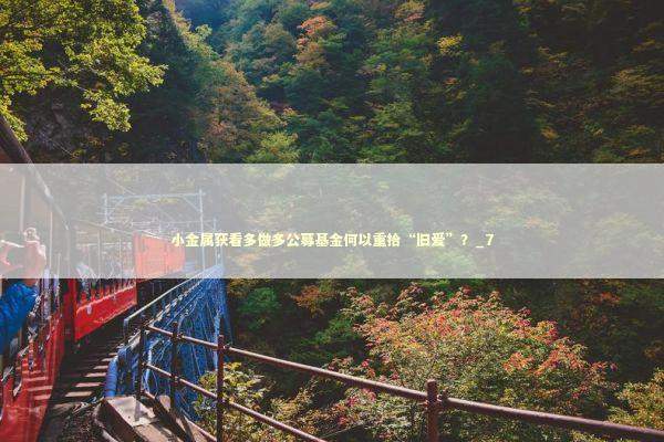 小金属获看多做多公募基金何以重拾“旧爱”？_7 新闻