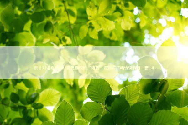 洪灝对话辜朝明：美元霸权的“语言”逻辑与广场协议的另一面_4 新闻