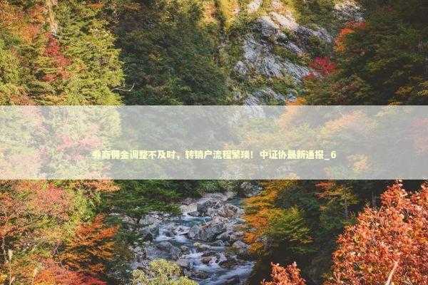 券商佣金调整不及时，转销户流程繁琐！中证协最新通报_6 新闻