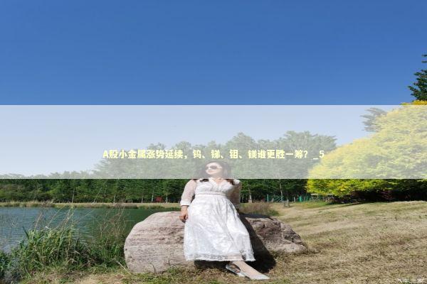 A股小金属涨势延续，钨、锑、钼、镁谁更胜一筹？_5