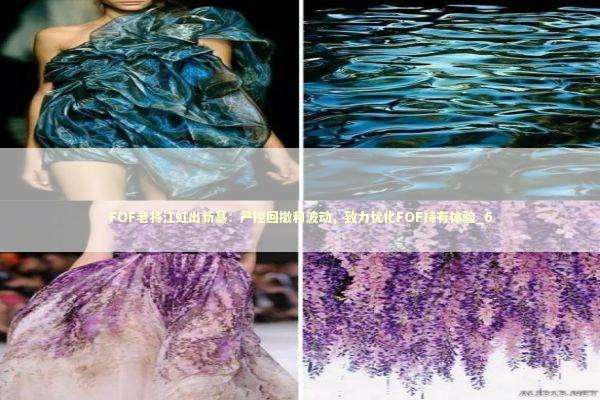 FOF老将江虹出新基：严控回撤和波动，致力优化FOF持有体验_6 新闻