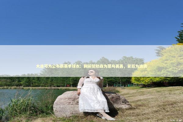 大连可为公布新赛季球衣：胸前赞助商为菜鸟裹裹，背后为滴滴 新闻