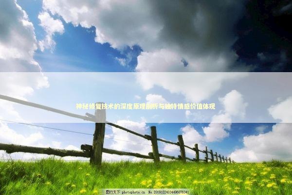神秘修复技术的深度原理剖析与独特情感价值体现 新闻