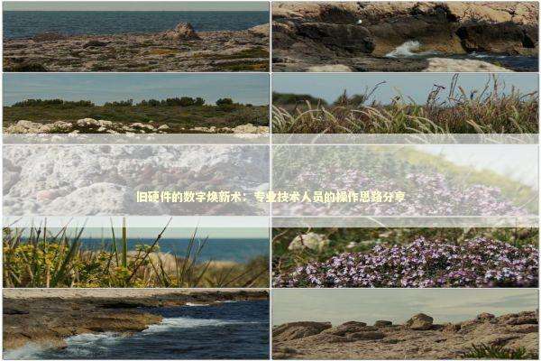 旧硬件的数字焕新术：专业技术人员的操作思路分享
